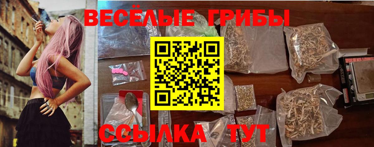 Галлюциногенные грибы прущие грибы  Галлюциногенные грибы мухоморы  Шахты  Вход с VPN 